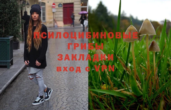 бошки Абдулино